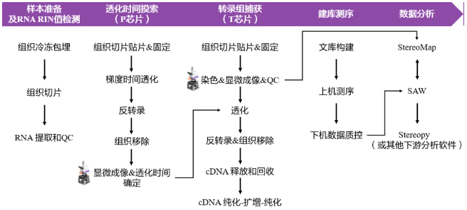1720071820389432.png image.png